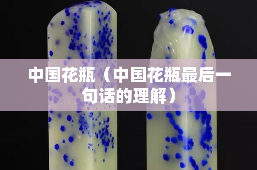 中国花瓶（中国花瓶最后一句话的理解）