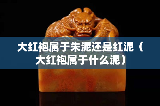 大红袍属于朱泥还是红泥（大红袍属于什么泥）