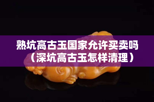 熟坑高古玉国家允许买卖吗（深坑高古玉怎样清理）