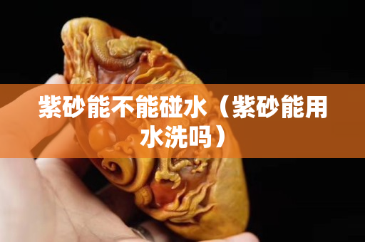 紫砂能不能碰水（紫砂能用水洗吗）
