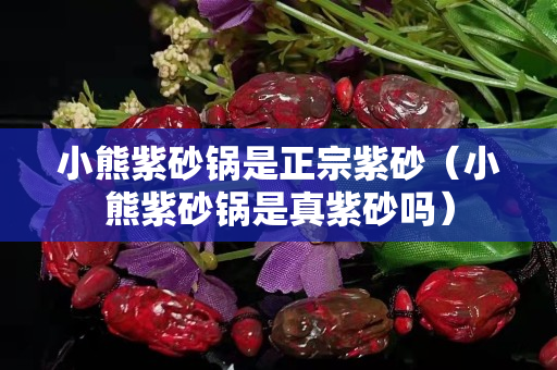 小熊紫砂锅是正宗紫砂（小熊紫砂锅是真紫砂吗）