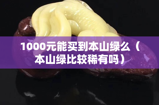 1000元能买到本山绿么（本山绿比较稀有吗）