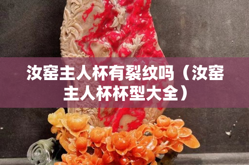 汝窑主人杯有裂纹吗（汝窑主人杯杯型大全）