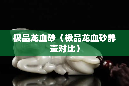 极品龙血砂（极品龙血砂养壶对比）