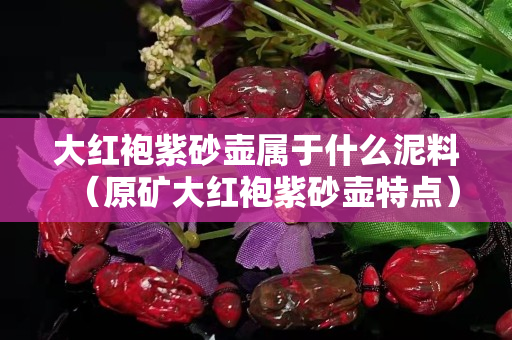 大红袍紫砂壶属于什么泥料（原矿大红袍紫砂壶特点）