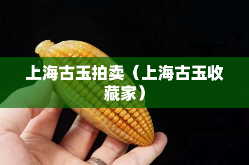 上海古玉拍卖（上海古玉收藏家）