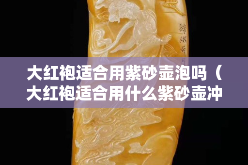 大红袍适合用紫砂壶泡吗（大红袍适合用什么紫砂壶冲泡）