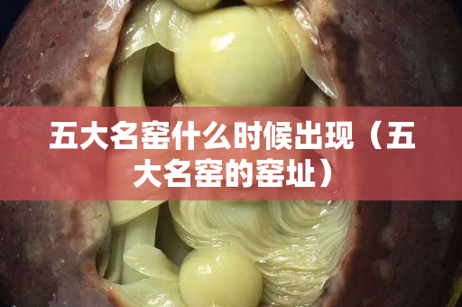 五大名窑什么时候出现（五大名窑的窑址）