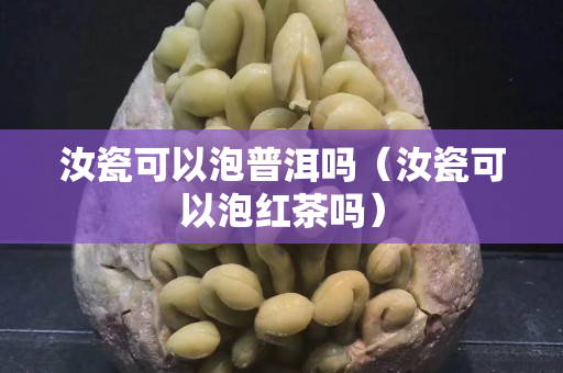 汝瓷可以泡普洱吗（汝瓷可以泡红茶吗）