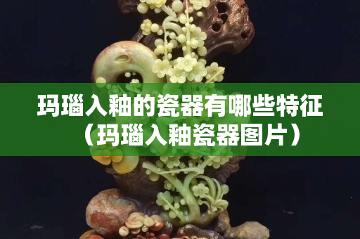 玛瑙入釉的瓷器有哪些特征（玛瑙入釉瓷器图片）