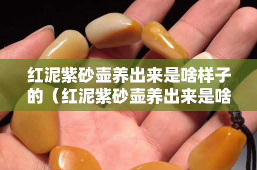 红泥紫砂壶养出来是啥样子的（红泥紫砂壶养出来是啥样子的啊）