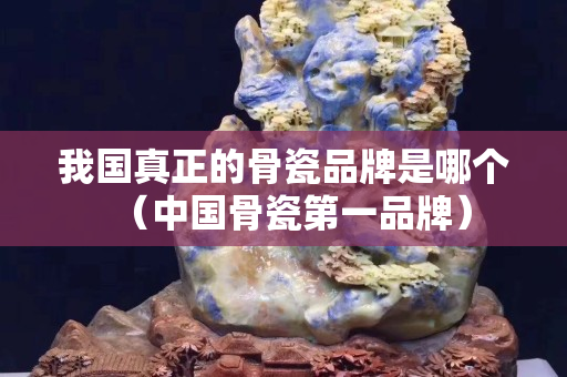 我国真正的骨瓷品牌是哪个（中国骨瓷第一品牌）