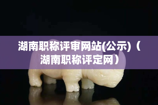 湖南职称评审网站(公示)（湖南职称评定网）