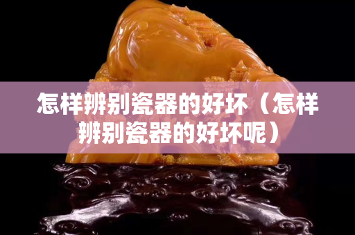 怎样辨别瓷器的好坏（怎样辨别瓷器的好坏呢）