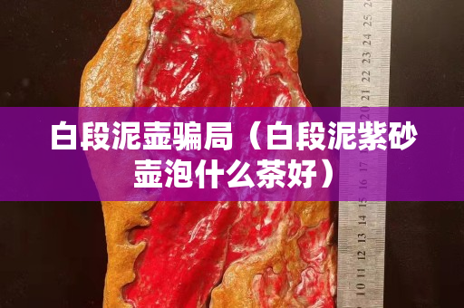 白段泥壶骗局（白段泥紫砂壶泡什么茶好）