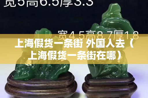 上海假货一条街 外国人去（上海假货一条街在哪）