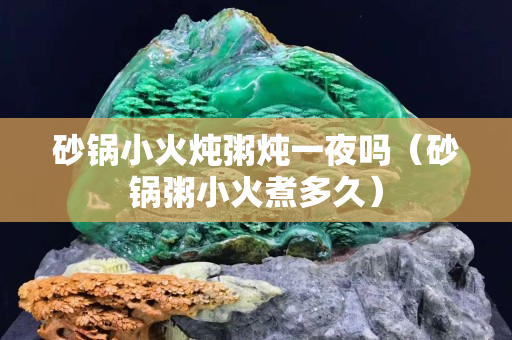 砂锅小火炖粥炖一夜吗（砂锅粥小火煮多久）