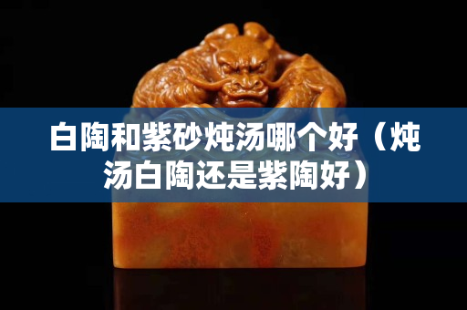 白陶和紫砂炖汤哪个好（炖汤白陶还是紫陶好）