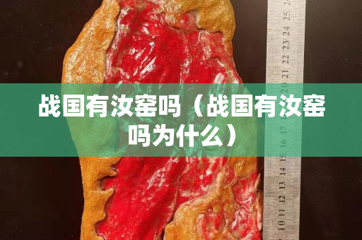 战国有汝窑吗（战国有汝窑吗为什么）