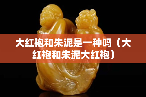 大红袍和朱泥是一种吗（大红袍和朱泥大红袍）