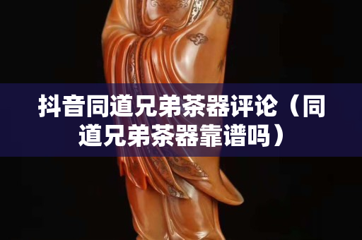 抖音同道兄弟茶器评论（同道兄弟茶器靠谱吗）