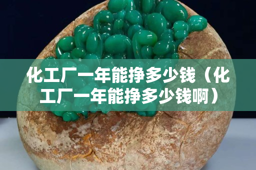 化工厂一年能挣多少钱（化工厂一年能挣多少钱啊）