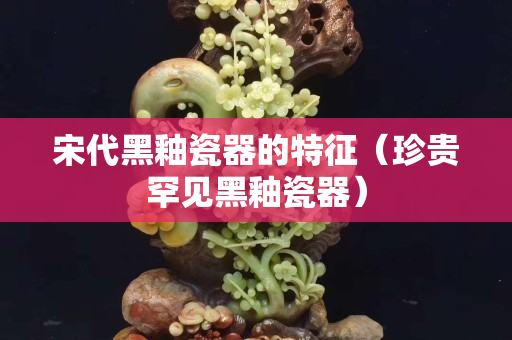 宋代黑釉瓷器的特征（珍贵罕见黑釉瓷器）