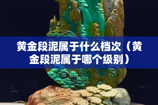 黄金段泥属于什么档次（黄金段泥属于哪个级别）