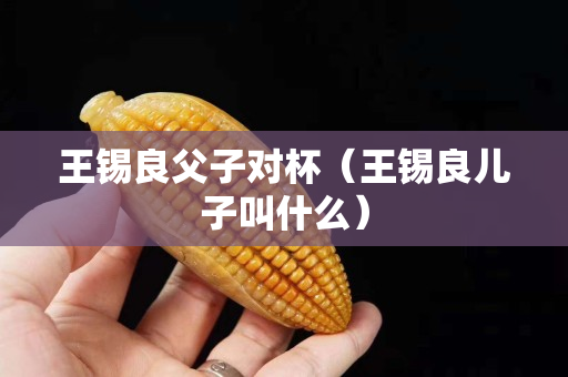 王锡良父子对杯（王锡良儿子叫什么）
