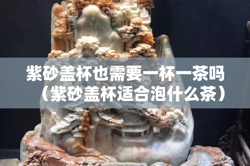 紫砂盖杯也需要一杯一茶吗（紫砂盖杯适合泡什么茶）
