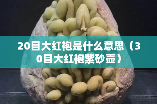 20目大红袍是什么意思（30目大红袍紫砂壶）