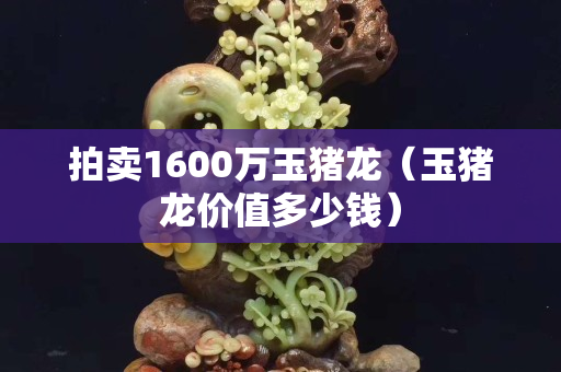 拍卖1600万玉猪龙（玉猪龙价值多少钱）