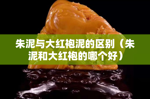 朱泥与大红袍泥的区别（朱泥和大红袍的哪个好）