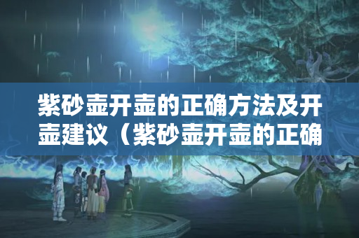 紫砂壶开壶的正确方法及开壶建议（紫砂壶开壶的正确方法及开壶建议视频）