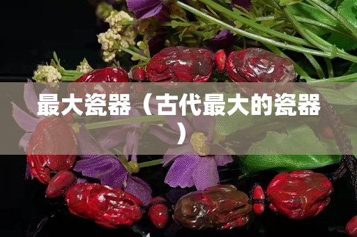最大瓷器（古代最大的瓷器）