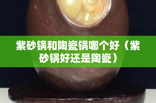 紫砂锅和陶瓷锅哪个好（紫砂锅好还是陶瓷）