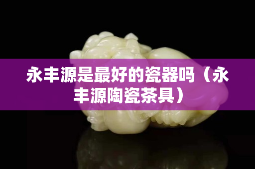 永丰源是最好的瓷器吗（永丰源陶瓷茶具）