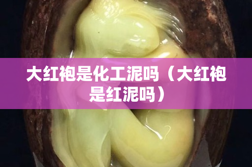 大红袍是化工泥吗（大红袍是红泥吗）