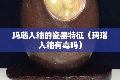 玛瑙入釉的瓷器特征（玛瑙入釉有毒吗）