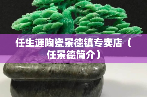 任生涯陶瓷景德镇专卖店（任景德简介）