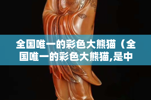 全国唯一的彩色大熊猫（全国唯一的彩色大熊猫,是中国的吗）