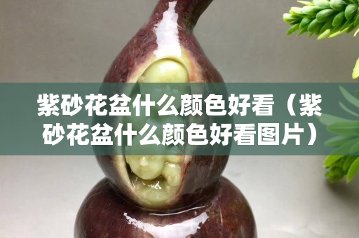 紫砂花盆什么颜色好看（紫砂花盆什么颜色好看图片）