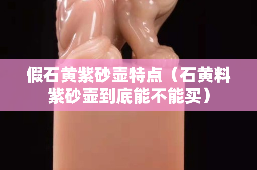 假石黄紫砂壶特点（石黄料紫砂壶到底能不能买）