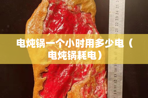 电炖锅一个小时用多少电（电炖锅耗电）