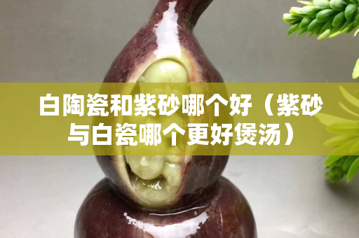 白陶瓷和紫砂哪个好（紫砂与白瓷哪个更好煲汤）
