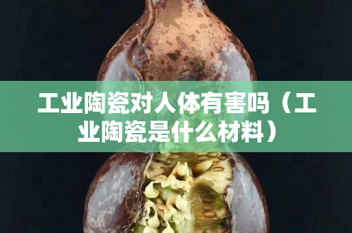 工业陶瓷对人体有害吗（工业陶瓷是什么材料）