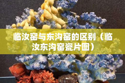 临汝窑与东沟窑的区别（临汝东沟窑瓷片图）