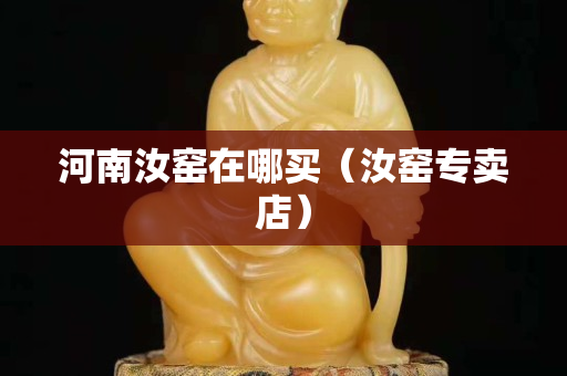 河南汝窑在哪买（汝窑专卖店）