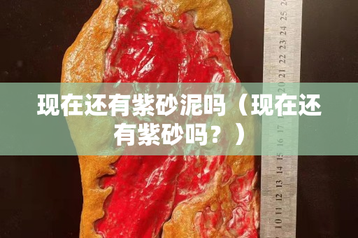 现在还有紫砂泥吗（现在还有紫砂吗？）