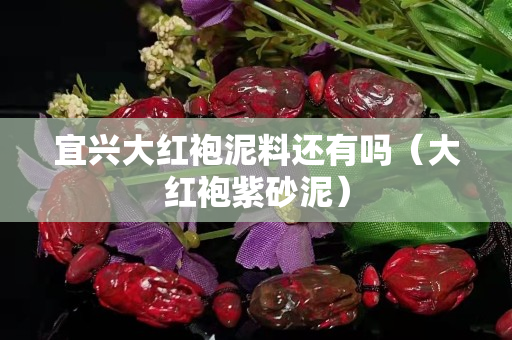 宜兴大红袍泥料还有吗（大红袍紫砂泥）